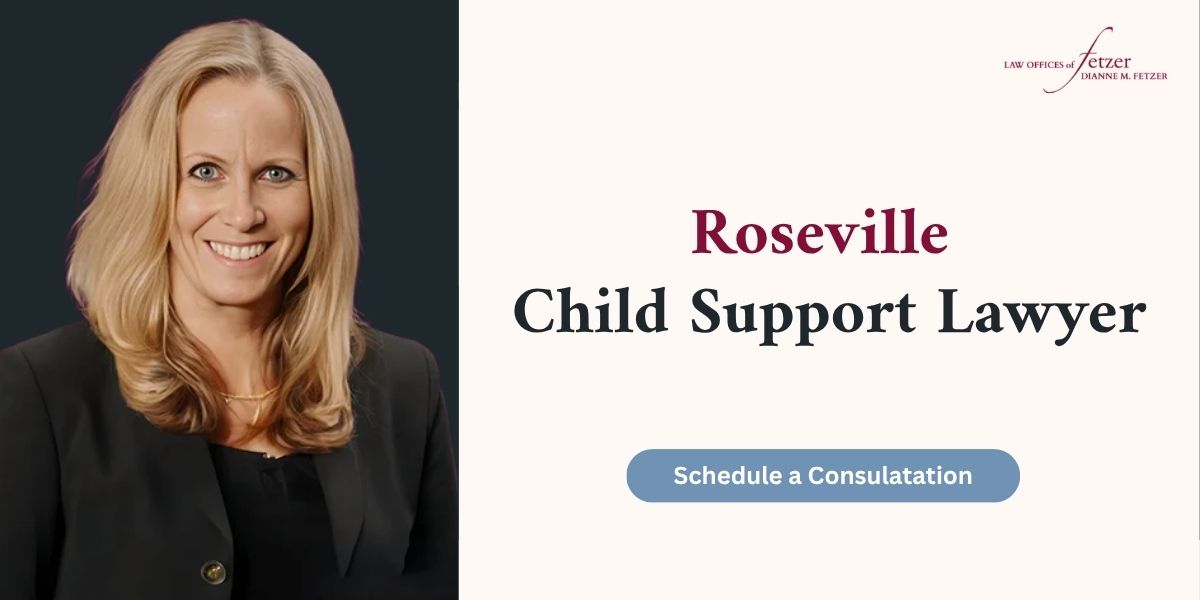 roseville child support lawyer